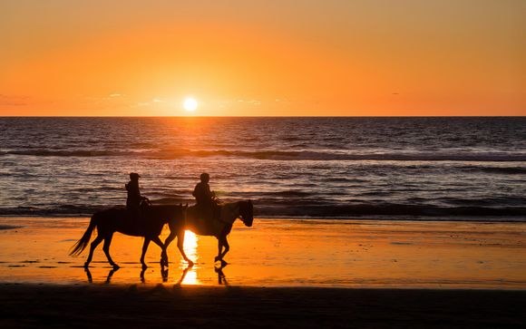 Ihre inklusiven Ausflüge