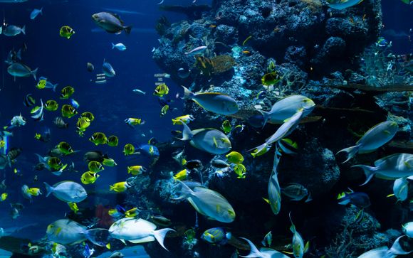 Ihre Ausflugsoptionen