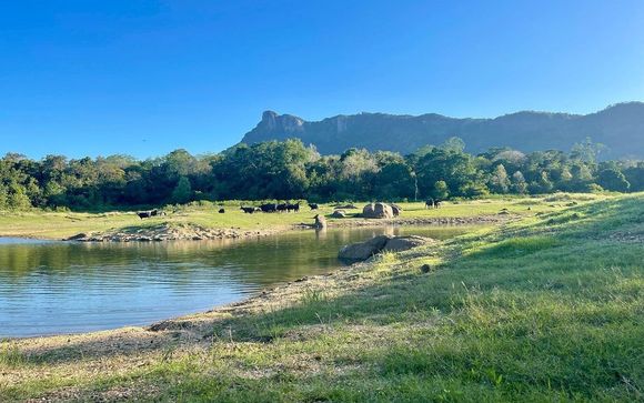 Ihre Rundreise im Überblick 