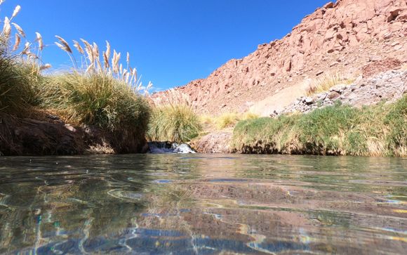 Ihre  Ausflugsoptionen