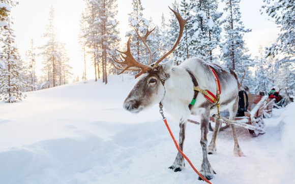 Lappland Passion Package in 5, 6 oder 7 Nächten