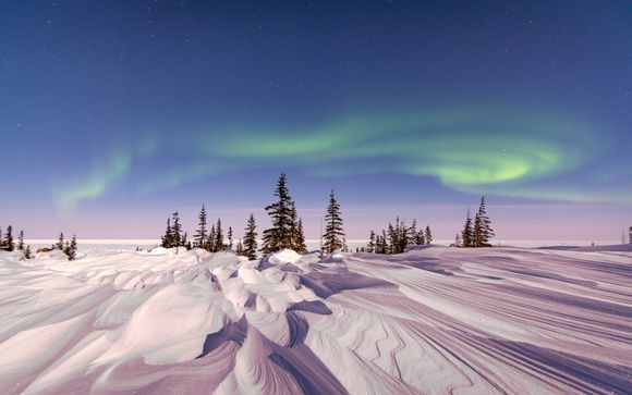 Ihre Reise im Detail