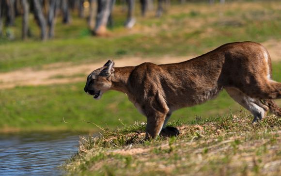 Ihre Rundreise im Detail