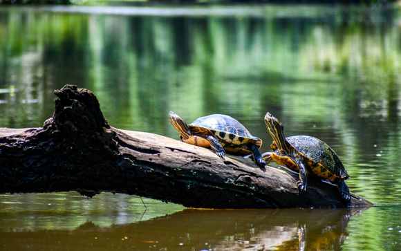 Ihre Rundreise im Detail