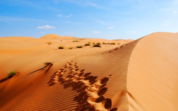 Ihre Reise im Detail