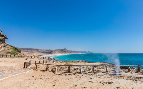 Ihre Ausflugsoptionen