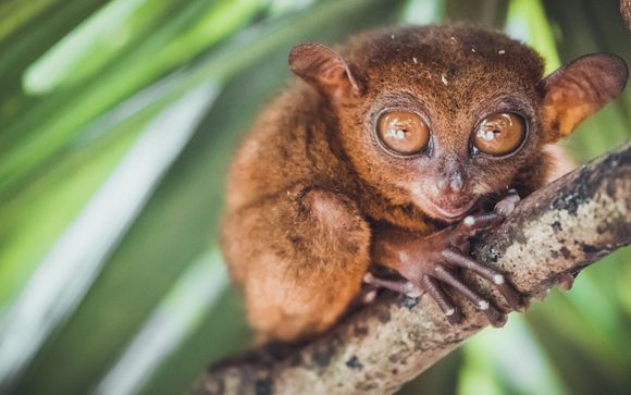 Ihre Rundreise im Detail