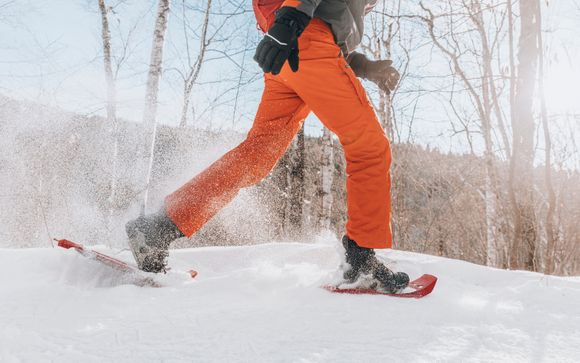 Ihre Ausflugsoptionen
