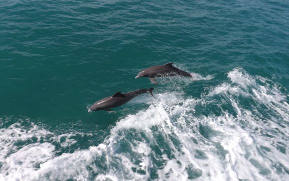 Ihre Rundreise im Detail