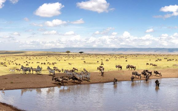 Willkommen in Kenia!