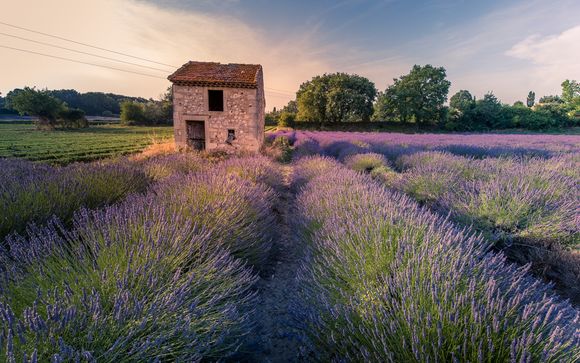 Willkommen in der Drôme Provençale!