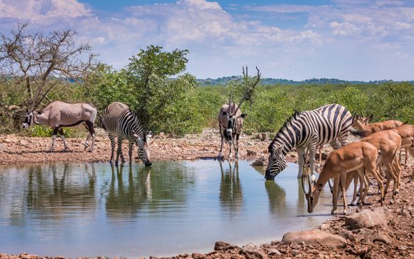 Ihre Rundreise im Detail