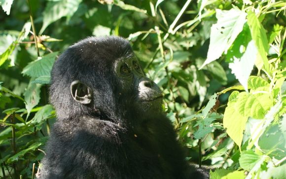 Ihre Rundreise im Detail