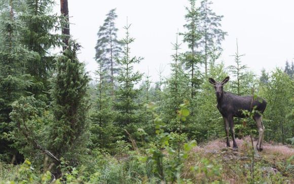 Ihre Ausflugsoptionen