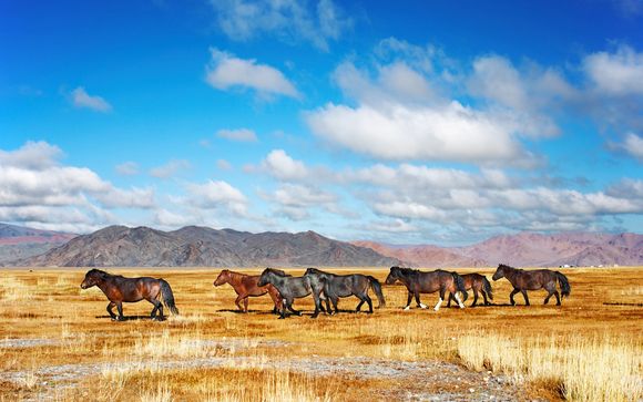  Willkommen in ... der Mongolei!