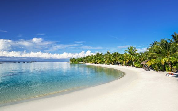 Willkommen auf den... Malediven