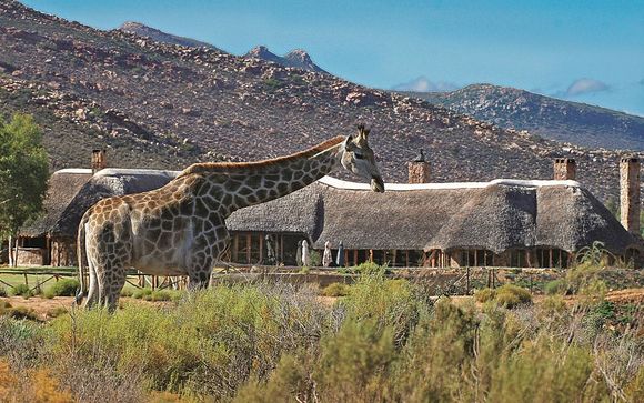 Ihre Rundreise im Detail