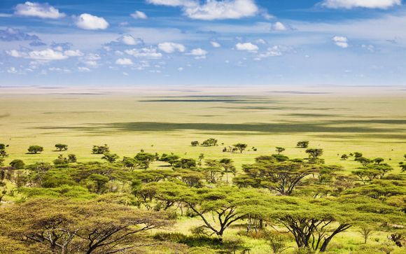 Zoom auf Ihr Programm