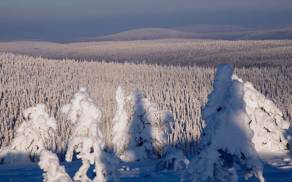 Rendez-vous... en Laponie