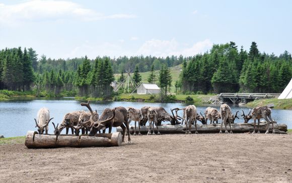 Ihre Rundreise im Detail