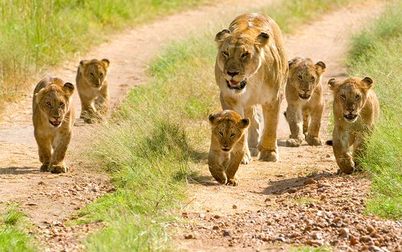 Willkommen in... Tansania!
