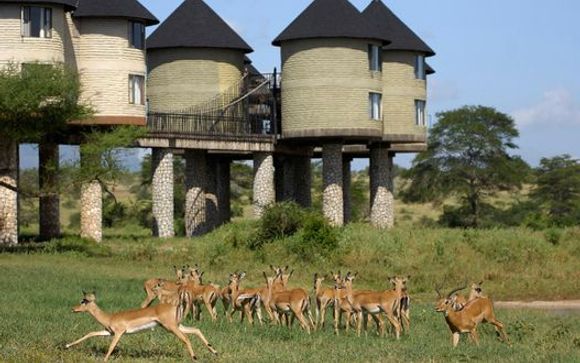 Ihre Hotels während der Safaris