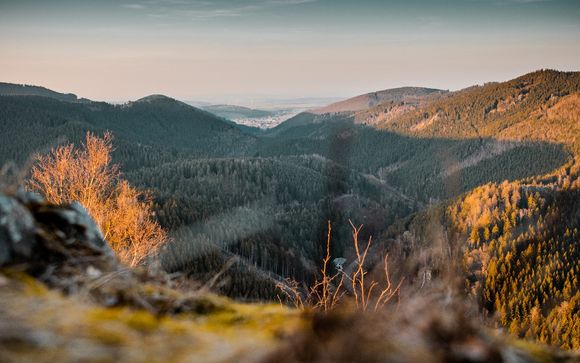 Willkommen in... Thüringen und im Harz!