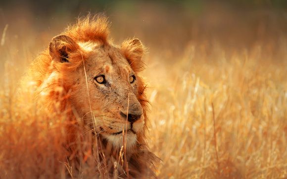 Ihre Rundreise im Detail