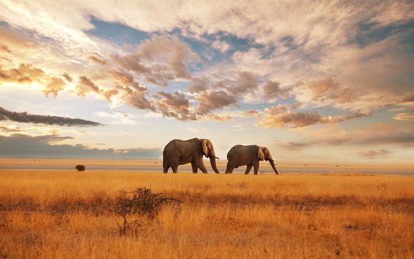 Willkommen in... Kenia und Sansibar!