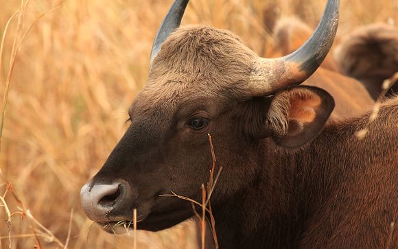 Ihre Rundreise im Detail