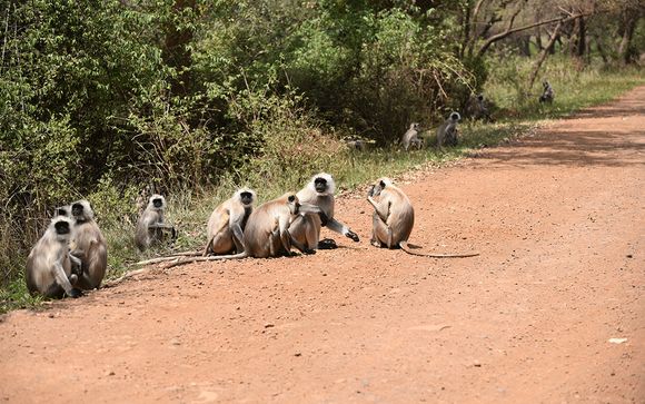 Ihre Rundreise im Detail