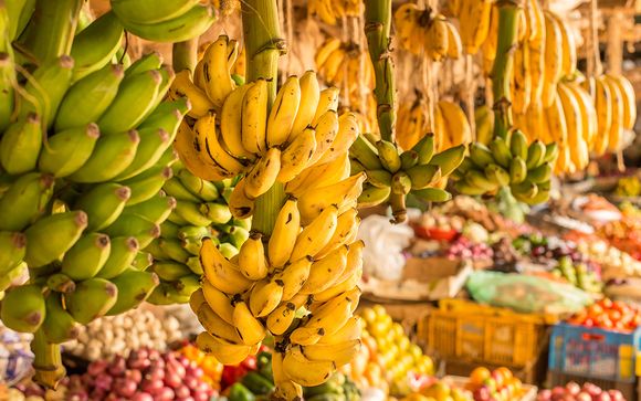 Ihre Rundreise im Überblick