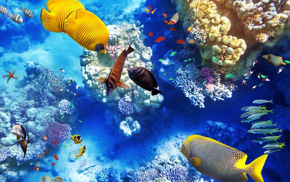 Willkommen in... Punta Cana!