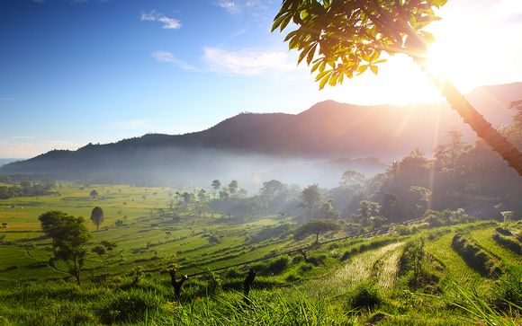 Willkommen auf... Bali!