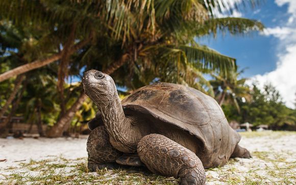 Ihre Kreuzfahrt im Detail