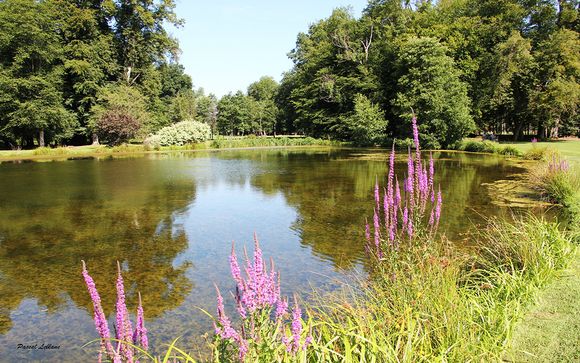 Willkommen in... den Ardennen und Reims!