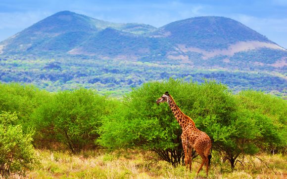 Unsere kleinen Tipps für einen perfekten Aufenthalt