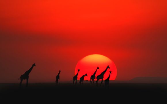 Willkommen in... Kenia!