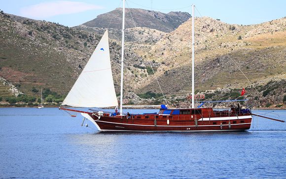 Ihre Segelkreuzfahrt im Detail