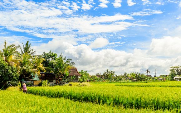 Willkommen in... Bali!