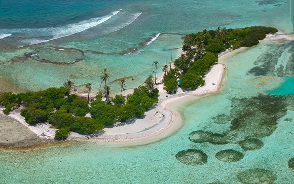 Ihre Kreuzfahrt im Detail