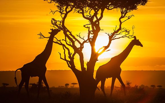 Ihre Safari