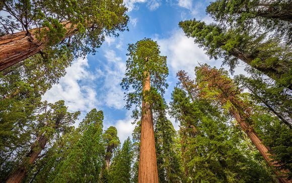 Willkommen in... Kalifornien!