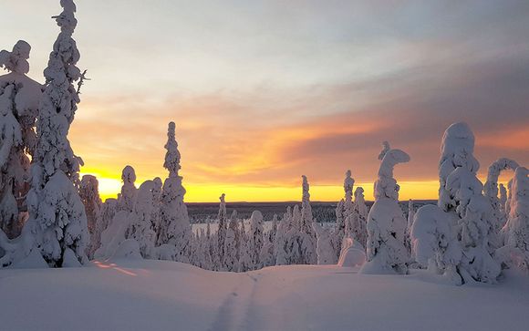 Zoom sur votre programme en 8 jours / 7 nuits