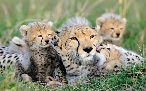 Ihre Rundreise im Detail