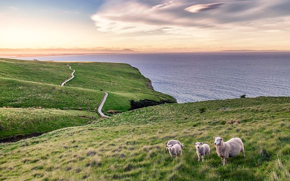 Ihre optionale Vorverlängerung in Neuseeland (Angebot 2)