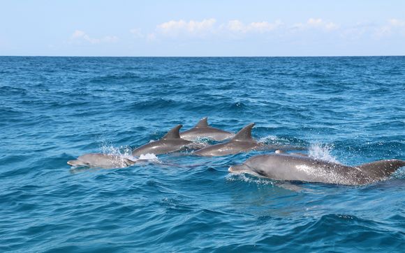 Ihre Informationen zum Transport