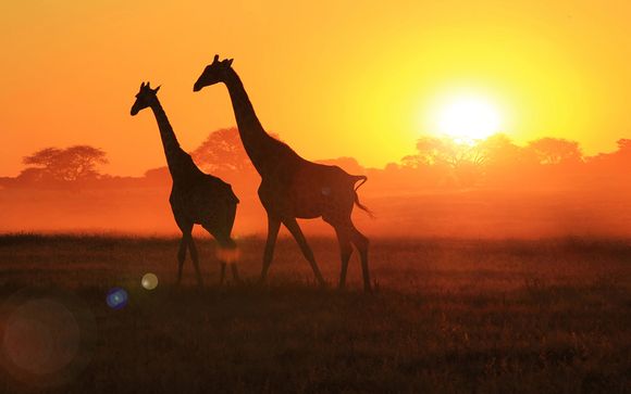 Ihre Rundreise im Überblick