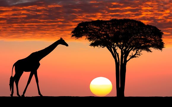 Willkommen in... Südafrika!