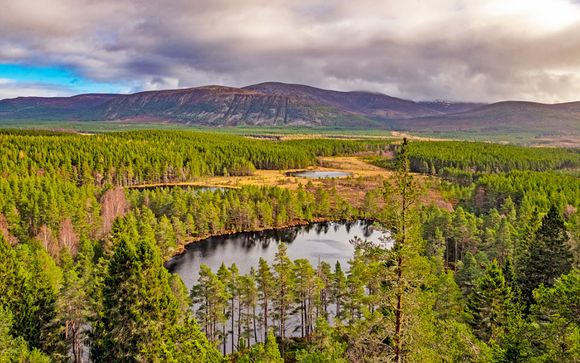 Ihre Rundreise im Detail - 10 Tage